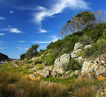 Mimosa Rocks National Park by Darren Stones