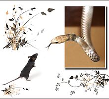 Brown snake and mouse by Bandicoot