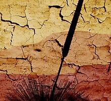 A Sunburnt Country by Leeo