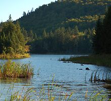 Lake by Zach Schible