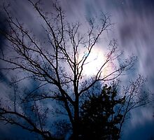 Moon by Zach Schible