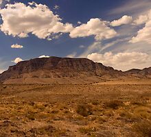 way out west by Rachel McKinnie