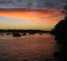 Sydney sunset NYE by Aaron Carr