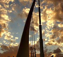 The Singing Ship 2 © Vicki Ferrari Photography by Vicki Ferrari