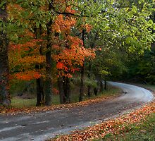 Where The Pavement Ends by Gary Pope