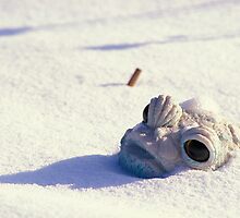 Snowbound by Bill Spengler