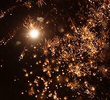 Hogmanay 2009 by Robert Deaton