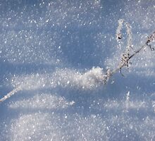 Chrystals as is second chance to beauty by liesbeth