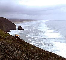 Sea Lion Cave is a world-wide wonder! by Dave Sandersfeld