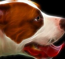 Joyful by Beverly Lussier