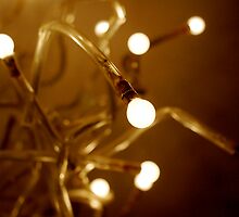 Bulb by Elliott Walker