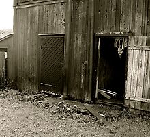 The Old Barn by Elliott Walker