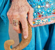 The Oracle"s Hand by Elena Ray