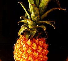 ANANAS COMOSUS alias pineapple - 1479 viewings by bubblehex08
