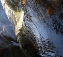 Shiny armour of water by Mykola