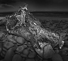 Driftlog by Ray Smith