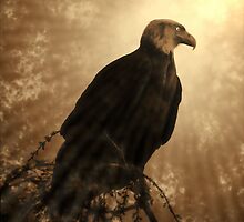 Almost Above The Clouds by Gail Bridger