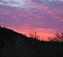 And so the day ends by laureenr