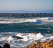 Cormorants on the Wing, Pebble Beach by MarkEmmerson