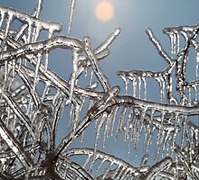 Winter Warmth by Nadine Rippelmeyer