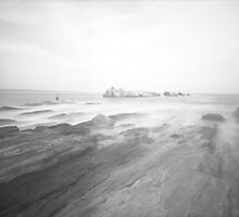 Shoreline Dream by Paul Lavallee
