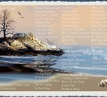 Distance Cast... by Amber Elizabeth Fromm Donais