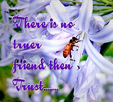 Trust by Lynette Higgs