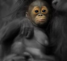 I Am Precious... by artisandelimage