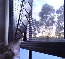 relfection from my window by HolleeH