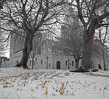 Portsmouth Cathedral by Zoe Harmer