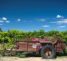 That's a load of.... by Mitchell Tillison