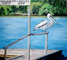 No Boundaries-Pelican-Noosa River by gunnelau
