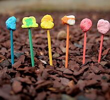 yum by Lisa Skala