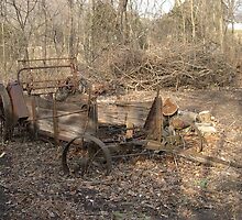 Old john deer Manure spreader by joedog