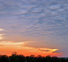 Mammatus Clouds by Van Coleman