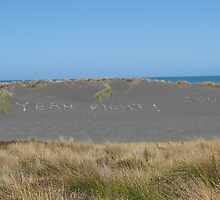 The Best Beach in the World by niggle