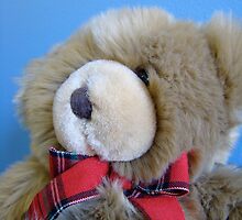 teddy bear, teddy bear! by Jan Stead JEMproductions