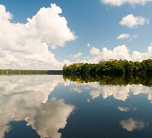 Peruvian Jungle by juan jose Gabaldon