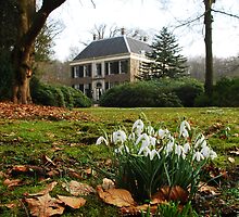 Spring shall overcome by jchanders