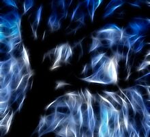 Foreshadowing Forest by Nicolas Raymond