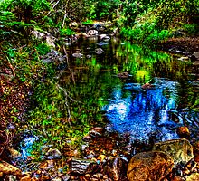 Creek @ Mt Warning - NSW by Jennifer Craker