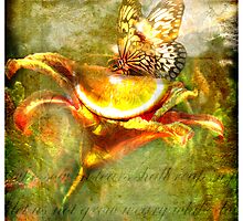 Harvest by StacyLee