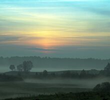 Fog Layers by Antanas