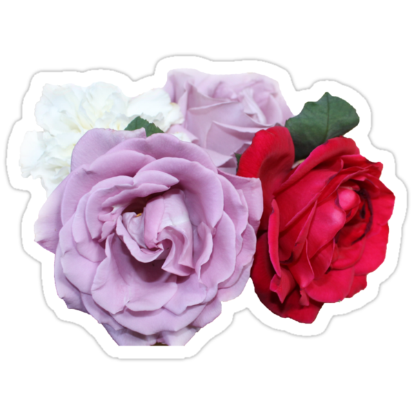 rosebush black single women I'm a 32 year old single, childless black female i've been offered a position in denver with a starting salary of $55,000 i was born and raised in. rosebush black single women I'm a 32 year old single, childless black female i've been offered a position in denver with a starting salary of $55,000 i was born and raised in.
