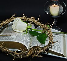 Life After Death by Maria Dryfhout