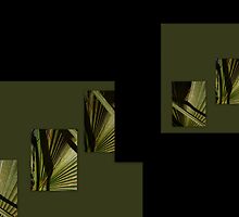 Collage of a Palmetto Palm tree frond.. by Isa Rodriguez