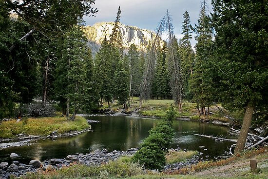 Slough Creek Campground