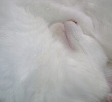Downloads sweet face by cetstreasures
