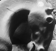 Equus by sinestro75