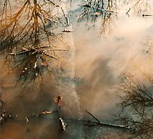 hope floats by butchart